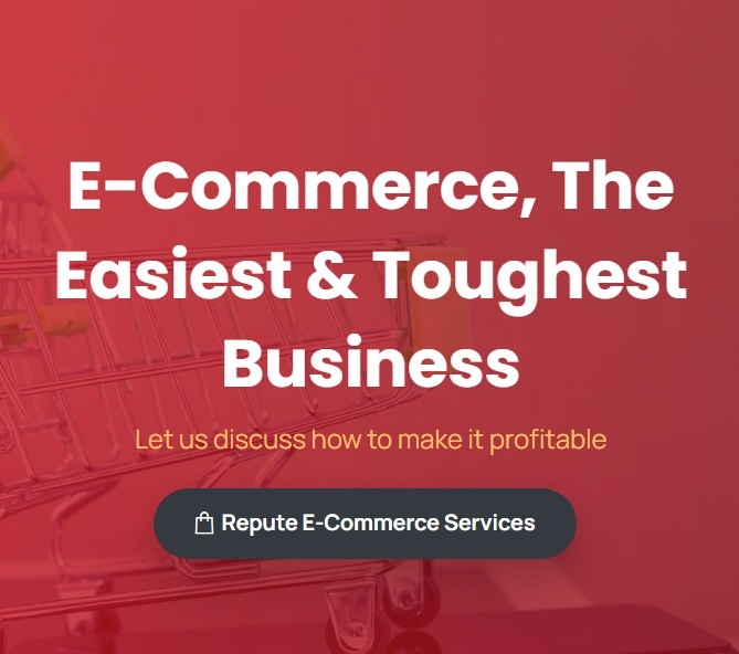 E-Commerce Solutions in Coimbatore, India - Repute