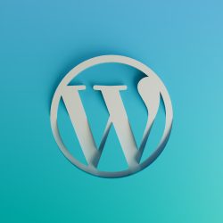 Top 10 WordPress Website Development Agency in Coimbatore- 2023 Review