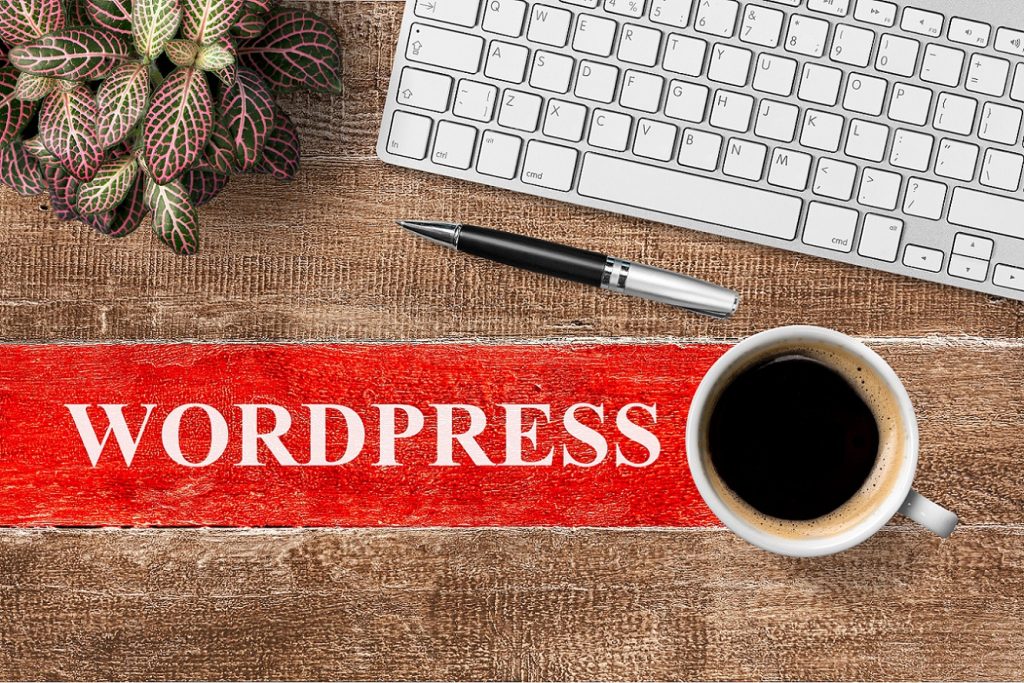 11 Tips to Boost WordPress Website Speed & Performance